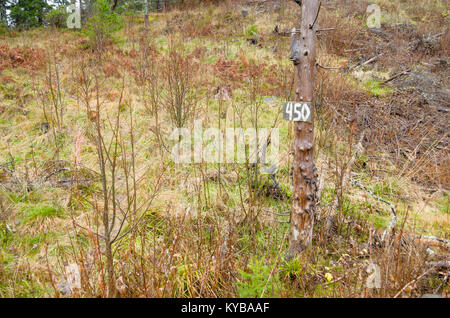 Wanderweg auf den Berg Mykleasen zeigt Höhe über Meer (450 m). Evje og Hornnes, Norwegen. Stockfoto