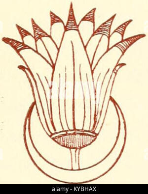 Auf der Titelseite von „Mythen of the Hindus & Buddhists“ werden Geschichten aus dem Hinduismus und Buddhismus vorgestellt, die ihre kulturelle und religiöse Bedeutung betonen. Stockfoto