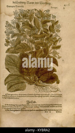 Eine Seite aus dem *Neuen Kreterbuch*, einem deutschen Wörterbuch, das historische Vokabular und Verwendung dokumentiert. Das Werk bewahrt Sprachmuster und Begriffe, die im deutschsprachigen Raum der Frühneuzeit verwendet werden. Stockfoto