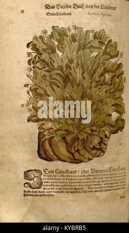 Eine Seite aus dem deutschen Wörterbuch „Neues Kreterbuch“ aus dem 19. Jahrhundert, die seine Rolle bei der Erweiterung des Vokabulars und der Entwicklung strukturierter Sprachdokumentation zeigt. Stockfoto