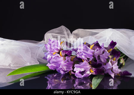 Blumenstrauß aus lila Iris mit einem weißen Schleier auf dunklem Glas Hintergrund Stockfoto