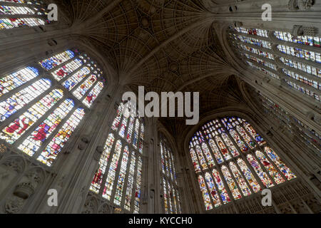 Ventilator Gewölbedecke und Glasmalereien des Kings College Kapelle an der Universität von Cambridge, England Stockfoto