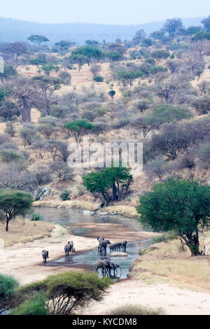 Mit baby Trinkwasser in Tansania Park river Elephant Stockfoto