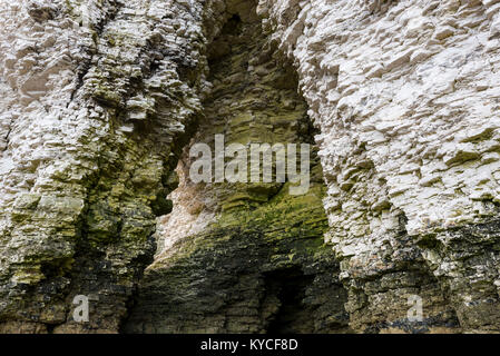 Kreidefelsen an der Landung, Flamborough, North Yorkshire, England. Stockfoto