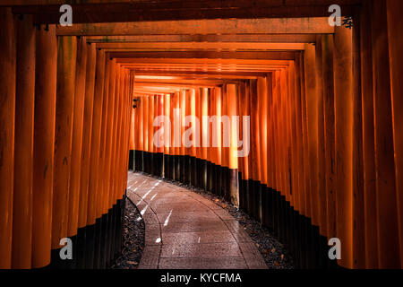 Weg gesäumt von torii Gates in Fushimi Inari Schrein, Fushimi Ward, Kyoto, Japan Stockfoto