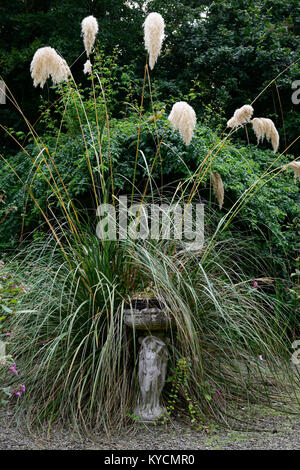 Pampas Gras, Wasser font, Statue, Garten, überwucherten, ungepflegtes