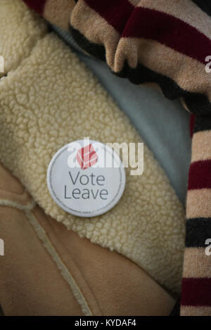 Downing Street, London, UK. 14. Januar 2018. Eine "Überparteiliche "Pro Brexit Rally gegenüber Downing Street gehalten wird. Quelle: Matthew Chattle/Alamy leben Nachrichten Stockfoto