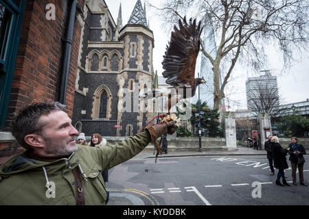 London, Großbritannien. 14 Jan, 2018. Handler Wayne Parsons und seiner 12 Jahre alten Südamerikanischen Harris Hawk's 'Rosie' Blick auf Tauben in der Nähe von Southwark Cathedral entmutigen. Als Teil der Stadt Schädlingsbekämpfung, Falken kann bis zu drei Mal pro Woche genutzt werden Tauben von hocken oder Verschachtelung zu verhindern. Credit: Guy Corbishley/Alamy leben Nachrichten Stockfoto