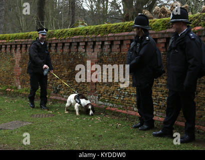 Sandringham, Norfolk, Großbritannien. 14 Jan, 2018. Ein Polizei explosive Suche hund Patrouillen die Mauern Sandringham House vor der königlichen Familie der St. Maria Magdalena Kirche Sonntag Morgen, in Sandringham, Norfolk, am Januar 14, 2018 Credit: Paul Marriott/Alamy leben Nachrichten Stockfoto