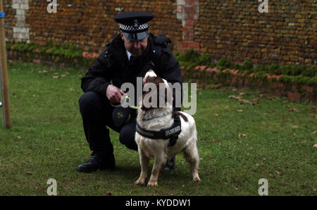 Sandringham, Norfolk, Großbritannien. 14 Jan, 2018. Ein Polizist und seine "explosiv Suche 'Hund an der St. Maria Magdalena Kirche Sonntag Morgen, in Sandringham, Norfolk, am Januar 14, 2018 Credit: Paul Marriott/Alamy leben Nachrichten Stockfoto