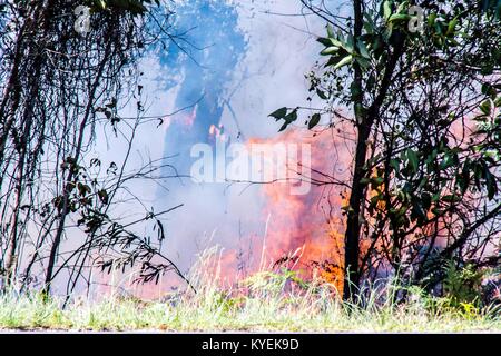 Newcastle, Australien. 14 Jan, 2018. Von gale force Winde eine große Buschfeuer brennen in der Nähe von Newcastle, NSW aufgefächert, hat Australien gezwungen, den Flughafen der Stadt und Air Force Base zu schließen und und Not Warnung für die umliegenden Vororte ausgestellt. Bild: Hugh Peterswald/Pacific Press/Alamy leben Nachrichten Stockfoto