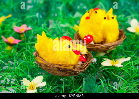 Ostern-Einstellung mit Hühnern auf Rasen Hintergrund. Stockfoto