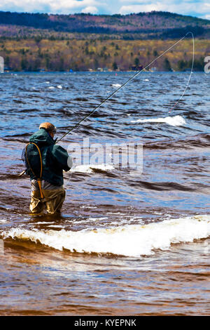 Angeln in Maine See Fliegen. Mann waders tragen mit einem Netz auf seinem Rücken steht im Wasser mit seiner Pole festgeschnallt. Die Berge im Hintergrund. Stockfoto