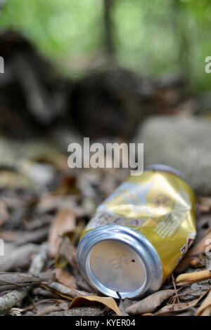 Eine leere Bierdose auf dem Weg auf dem Weg nach Araluen Kaskaden geworfen, Finch Hatton Gorge, Queensland, Australien Stockfoto