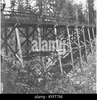 Holz- gestellbrücke am Fort Lawton, Seattle, Washington, 15. Juni 1898 (KIEHL 231) Stockfoto