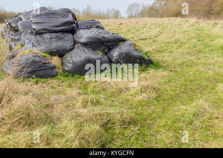 Verfallende Heuballen in schwarze Plastiksäcke gehüllt, Verschmutzung der Landschaft UK Stockfoto