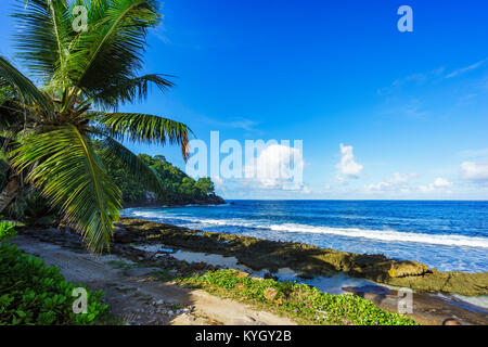 Ein Sandweg neben wilden Strand mit Palmen und Granitfelsen der Seychellen Stockfoto