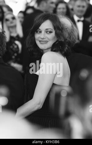 CANNES - 17. MAI 2017: (Bild digital geändert werden monochrom) Marion Cotillard besucht die Eröffnungsgala während des 70. Filmfestival in Cannes Stockfoto