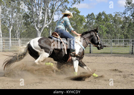 Reitsport, Barrel Racing, RODEO Stockfoto