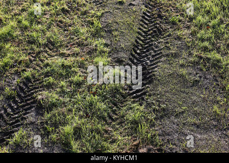 JCB Bagger Titel dargestellt in das Gras in Chichester, West Sussex, UK. Stockfoto