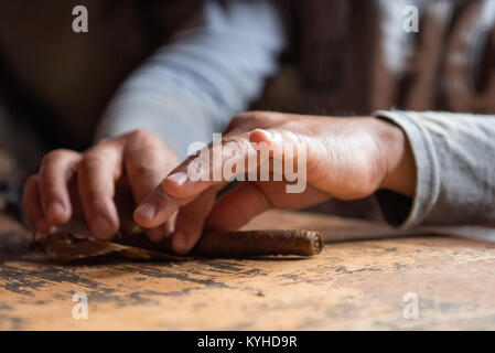 Tabak Landwirt rolling Zigarre Stockfoto