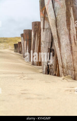 Sandstrand Detail zeigt eine groyne und Dünen mit Gras in der niederländischen Provinz Zeeland überwuchert benannt Stockfoto