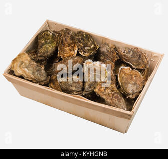 Warenkorb rohe Austern mit Zitrone auf weißem Hintergrund, Frankreich Stockfoto
