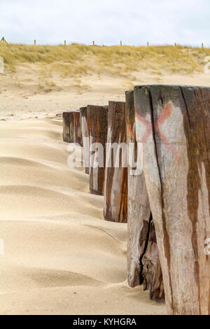 Sandstrand Detail zeigt eine groyne und Dünen mit Gras in der niederländischen Provinz Zeeland überwuchert benannt Stockfoto