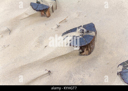 Strand detail Übersicht Holz- groyne Beiträge teilweise mit Sand bedeckt Stockfoto