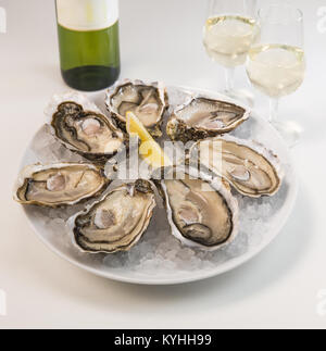 Austern auf Eis und mit einem Stück Zitrone und Wein Flasche und Glas Stockfoto