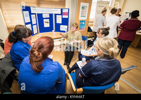 Die Princess Alexandra Hospital, Harlow, Krankenpflege und Geburtshilfe Feier Tag - Schulung und Information, UK. Klinische Unterstützung Personal Abschaltdruck Stockfoto