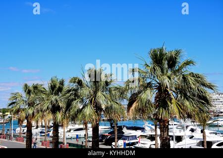 Erhöhten Blick auf die Palmen gesäumten Promenade mit luxuriösen Yachten in der Marina auf der Rückseite, Vilamoura, Algarve, Portugal, Europa. Stockfoto