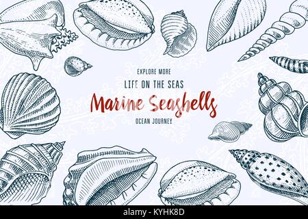 Seashells Hintergrund oder mollusca unterschiedliche Formen. Meer Kreatur. graviert Hand in alte Skizze gezeichnet, Vintage Style. nautischen oder Marine, Monster oder Essen. Tiere, die in den Ozean. Stock Vektor