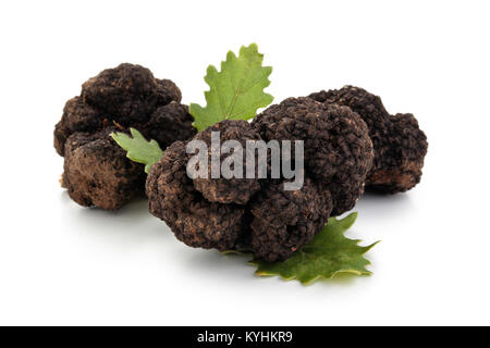 Closeup Schuß von schwarzen Trüffeln und Eichenlaub auf weißem Hintergrund. Stockfoto