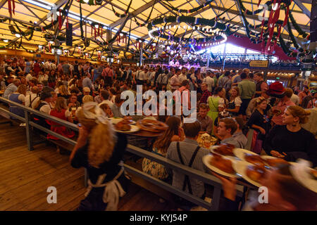 München, München: Oktoberfest: Schottenhamel Bierzelt, Kellner Kellnerin, Oberbayern, Oberbayern, Bayern, Bayern, Deutschland Stockfoto