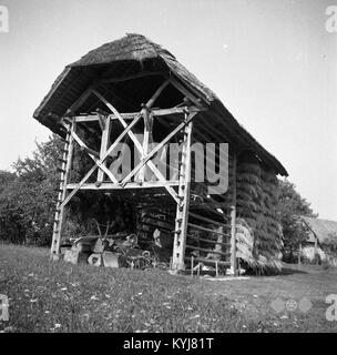 Dieses Bild aus dem Jahr 1957 zeigt eine traditionelle slowenische Doppelheu (Sterntoplar), eine Struktur zur Heutrocknung, die die slowenische ländliche Architektur und landwirtschaftliche Praktiken repräsentiert. Stockfoto
