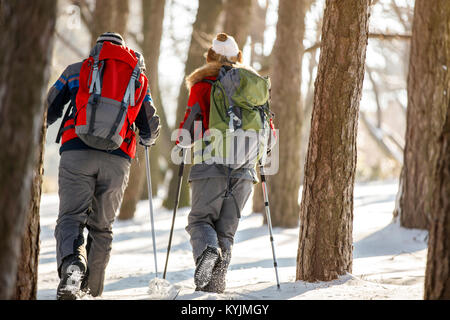 Rückansicht der Bergsteiger beim zusammen Bergsteigen im Wald im Winter Stockfoto