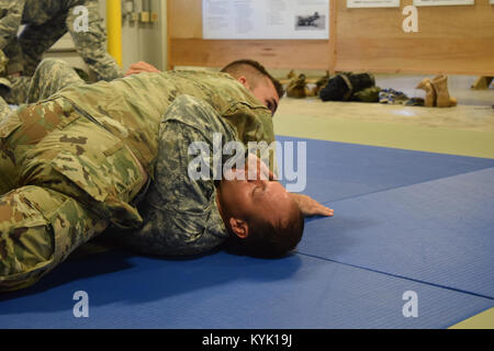 Staff Sgt. Daniel Dornbusch (oben) und Kapitän Stephen Strack Praxis ein combatives Drill 12.08.13 an Wendell H. Ford Regional Training Centre. Stockfoto