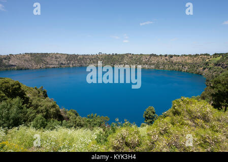 Der blaue See in Mount Gambier in Südaustralien. Es stellt sich eine lebendige Kobaltblau Farbe zwischen Dezember und März eines jeden Jahres. Stockfoto