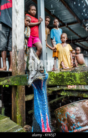 Unbekanntes KLEINES DORF, ASMAT PROVINZ IRIAN JAYA, Neuguinea, Indonesien, - Juni 12, 2016: Asmat Menschen. Portrait einer cassowary, durch Kind umgeben Stockfoto