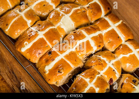 Hausgemachte frisch aus dem Ofen Hot Cross Buns auf Gitter Stockfoto