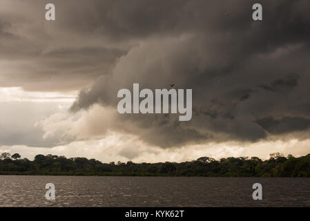 Einem drohenden Sturm über dem Amazonas Fluss in Kolumbien. Stockfoto