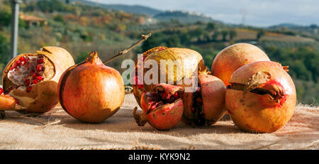 Granatapfel Obst mit einem grünen Hintergrund Stockfoto