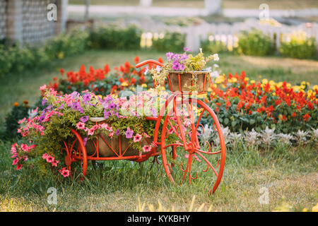 Dekorativer Vintage-Modell Fahrrades alten Korb Blumen Garten. Getönten Foto. Stockfoto