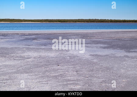 Salzvorkommen, thornscrub und Cactus Umgebung La Sal Del Rey in Hidalgo County, Texas, USA. Der See war die primäre Quelle von Salz für Indigineous Stockfoto