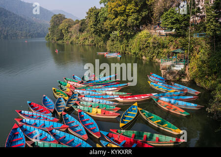 Bunte Boote in den Phewa See, Pokhara, Nepal, Asien. Stockfoto