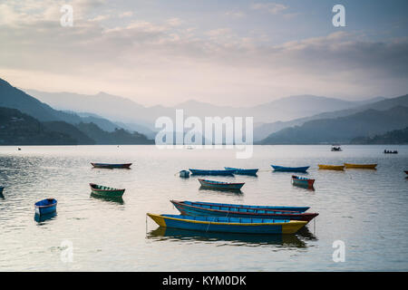 Bunte Boote in den Phewa See, Pokhara, Nepal, Asien. Stockfoto