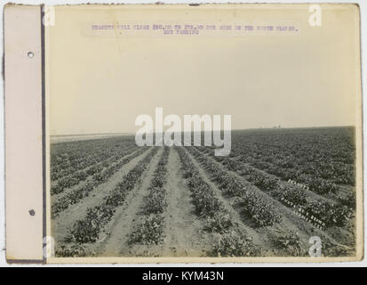 Ein Vintage-Image im Zusammenhang mit dem beliebten „Peanuts“-Comic mit Charakteren aus der legendären Serie. Dieses Foto spiegelt den kulturellen Einfluss des Comics auf die amerikanischen Medien und die Gesellschaft wider. Stockfoto