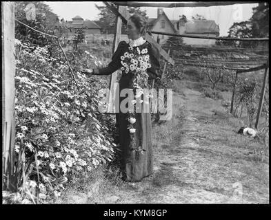 Glasnegative inklusive Bilder von Sydney und Manly, 37055368125 o Stockfoto