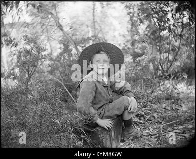 Glasnegative inklusive Bilder von Sydney und Manly, 36247717383 o Stockfoto